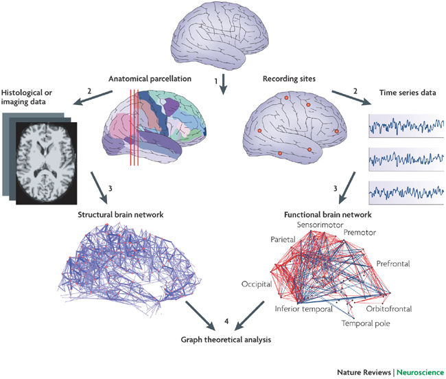 Brain networks and the hiking trails k1monfared